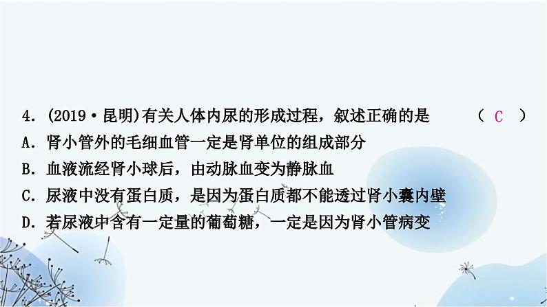 人教版中考生物复习主题四生物圈中的人第四节人体代谢废物的排出练习课件第6页