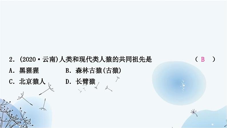 人教版中考生物复习主题四生物圈中的人第六节人是生物圈中的一员练习课件第4页