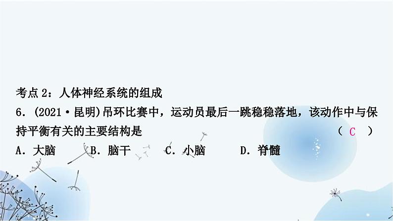 人教版中考生物复习主题四生物圈中的人第五节人体生命活动的调节练习课件第8页