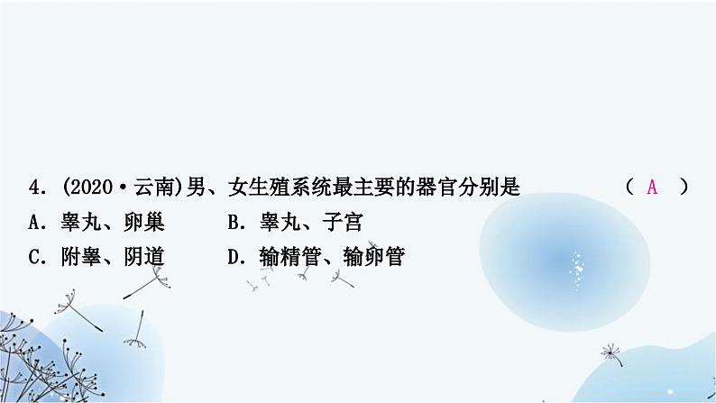 人教版中考生物复习主题六生物的生殖、发育与遗传第一节生物的生殖和发育练习课件第6页