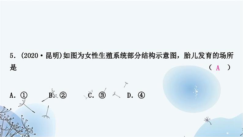 人教版中考生物复习主题六生物的生殖、发育与遗传第一节生物的生殖和发育练习课件第7页