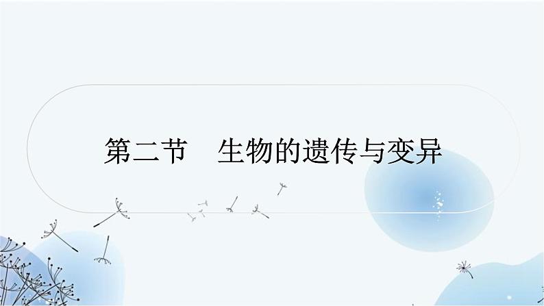 人教版中考生物复习主题六生物的生殖、发育与遗传第二节生物的遗传与变异练习课件01