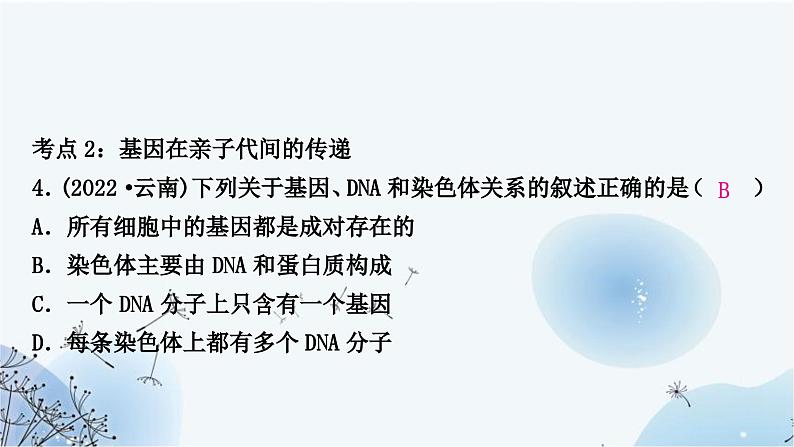 人教版中考生物复习主题六生物的生殖、发育与遗传第二节生物的遗传与变异练习课件06