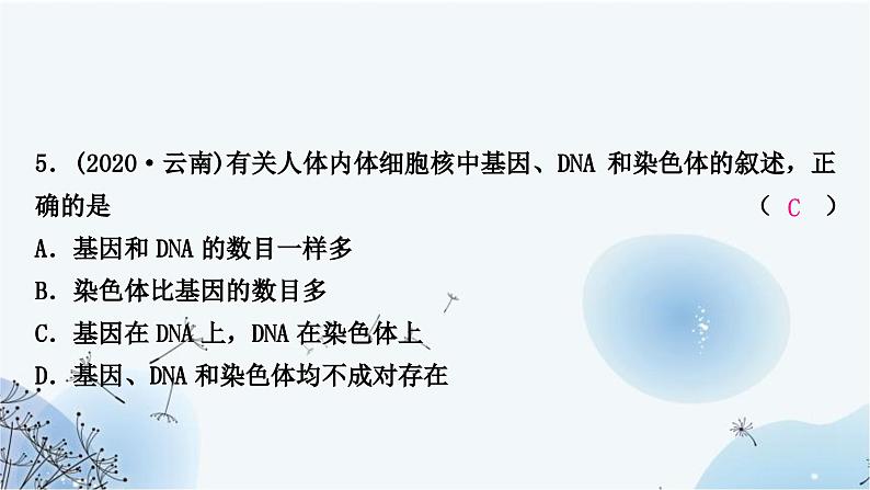 人教版中考生物复习主题六生物的生殖、发育与遗传第二节生物的遗传与变异练习课件07