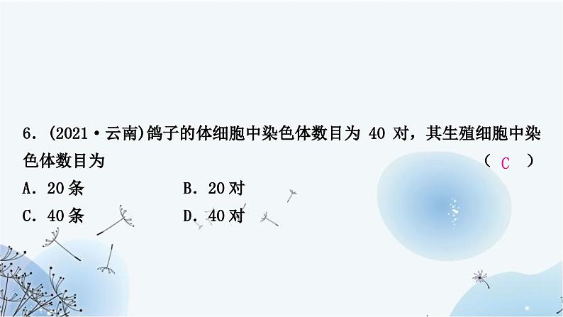 人教版中考生物复习主题六生物的生殖、发育与遗传第二节生物的遗传与变异练习课件08