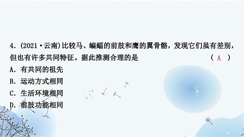 人教版中考生物复习主题七生物的多样性第二节生命的起源和生物进化练习课件第6页