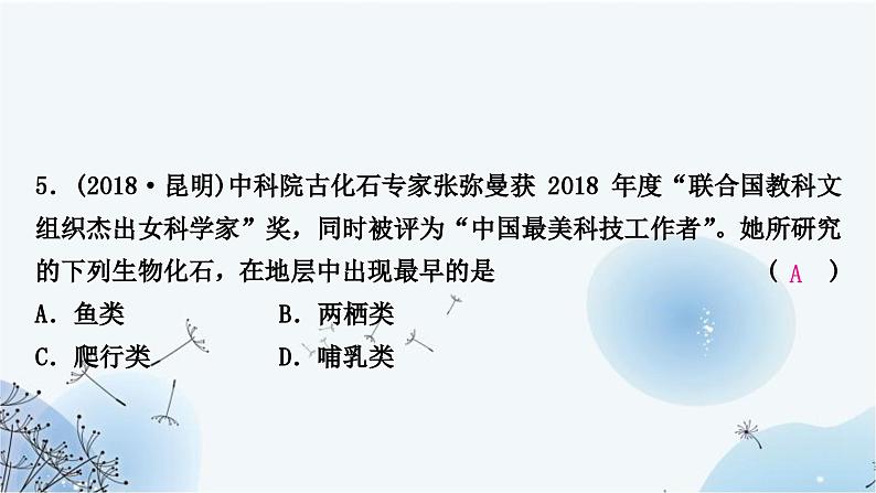 人教版中考生物复习主题七生物的多样性第二节生命的起源和生物进化练习课件第7页