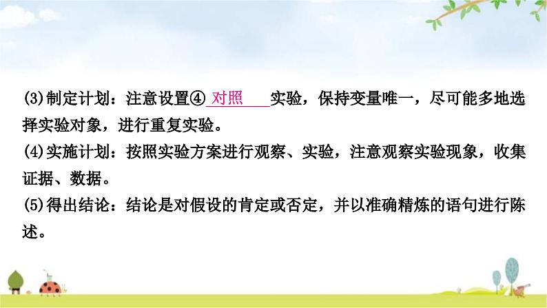 人教版中考生物复习主题十科学探究教学课件第5页