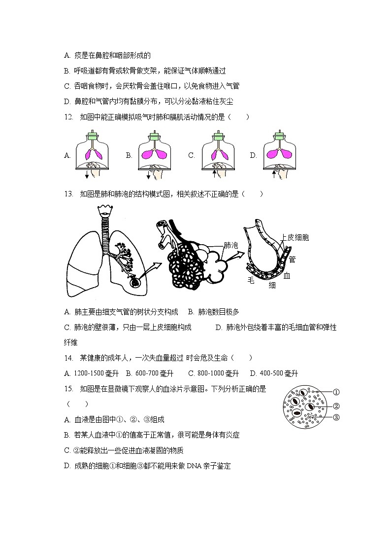 2022-2023学年湖南省长沙市湘一芙蓉中学等名校七年级（下）期末生物试卷（含解析）第3页