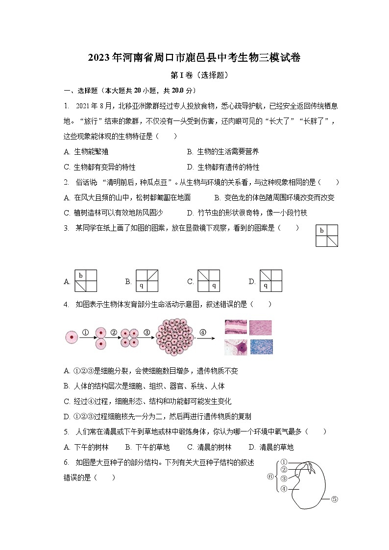 2023年河南省周口市鹿邑县中考生物三模试卷（含解析）第1页