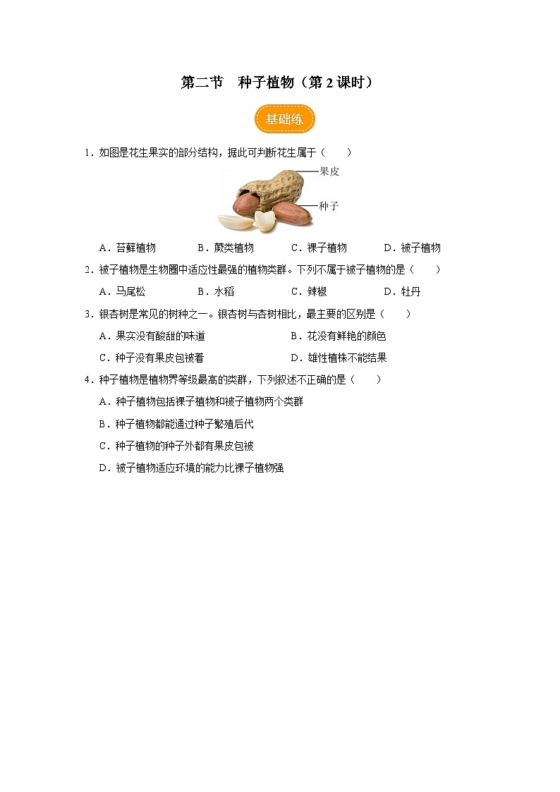 3.1.2 种子植物（第2课时）（分层作业）第1页