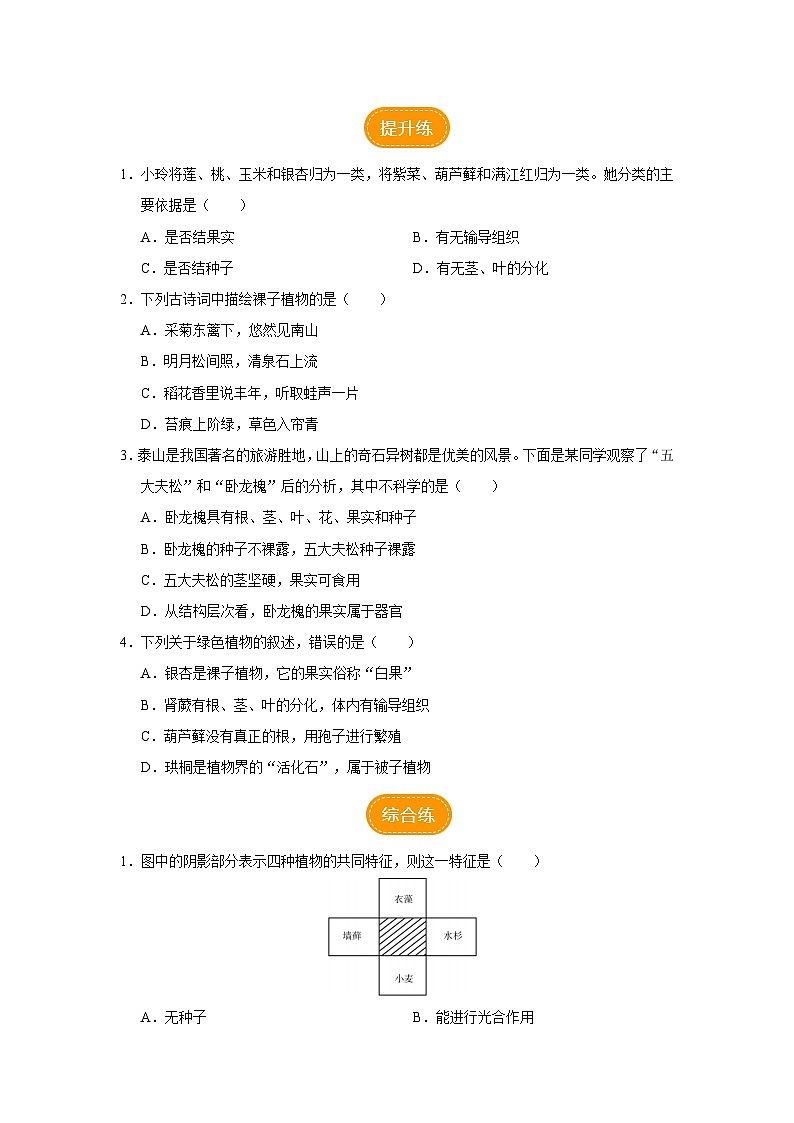 3.1.2 种子植物（第2课时）（分层作业）第2页