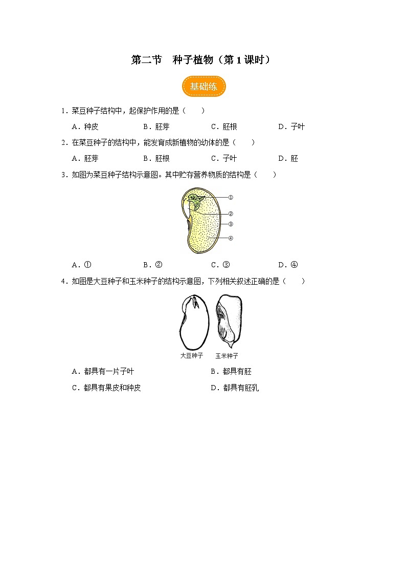 人教版七上生物   3.1.2 种子植物（第1课时） 课件+教案+练习+导学案01