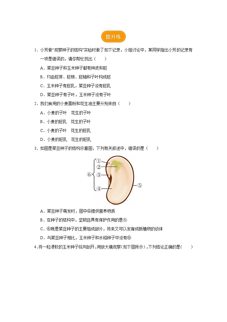 人教版七上生物   3.1.2 种子植物（第1课时） 课件+教案+练习+导学案02
