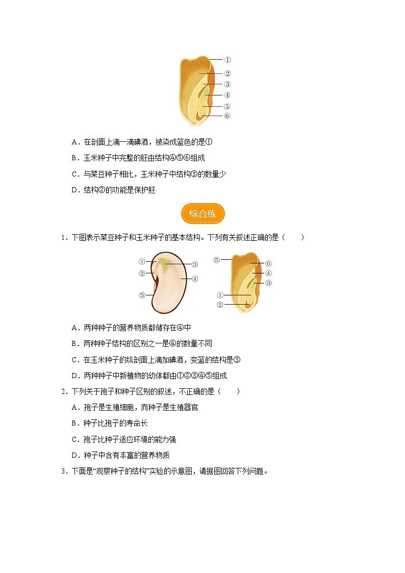 人教版七上生物   3.1.2 种子植物（第1课时） 课件+教案+练习+导学案03