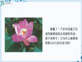人教版七上生物   3.1.2 種子植物（第1課時(shí)） 課件+教案+練習(xí)+導(dǎo)學(xué)案