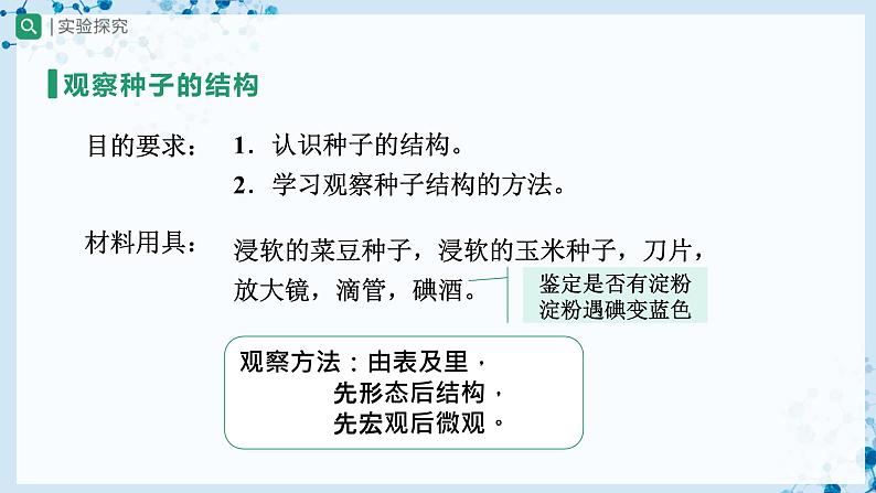 人教版七上生物   3.1.2 种子植物（第1课时） 课件+教案+练习+导学案04