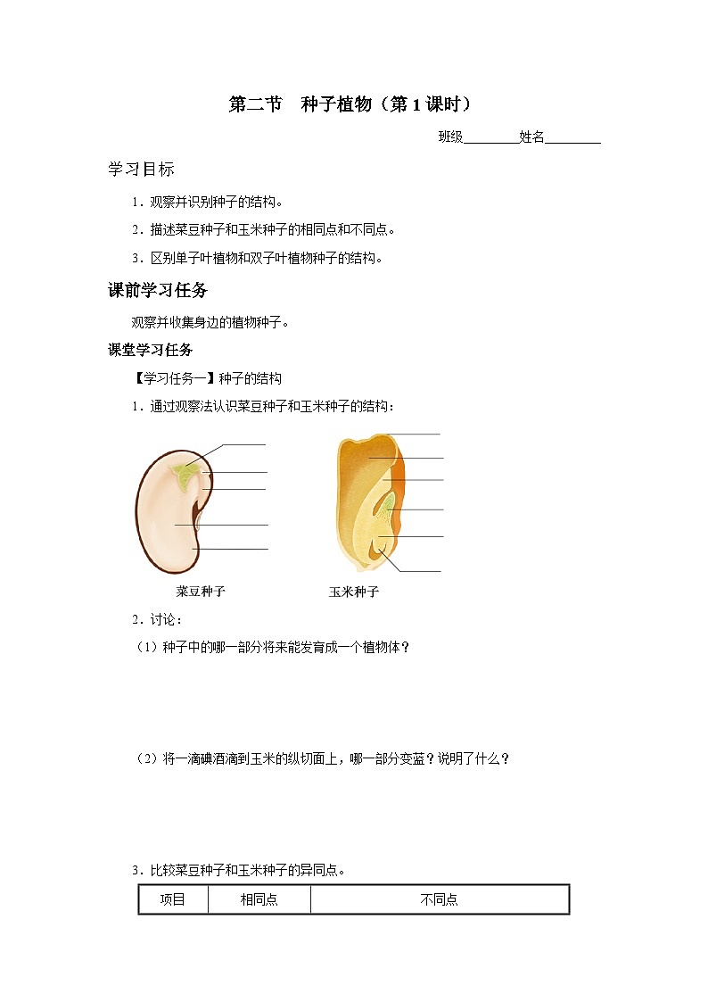 人教版七上生物   3.1.2 种子植物（第1课时） 课件+教案+练习+导学案01
