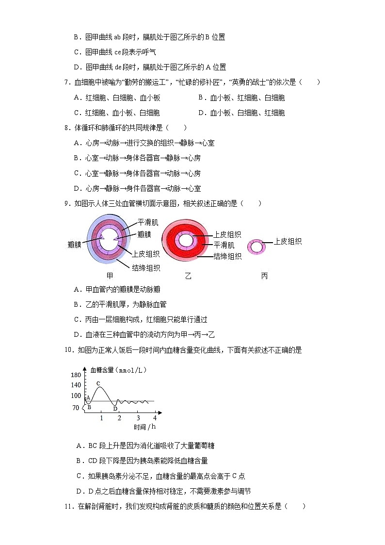 山东省济宁市泗水县2022-2023学年七年级下学期期末生物试题（含答案）02