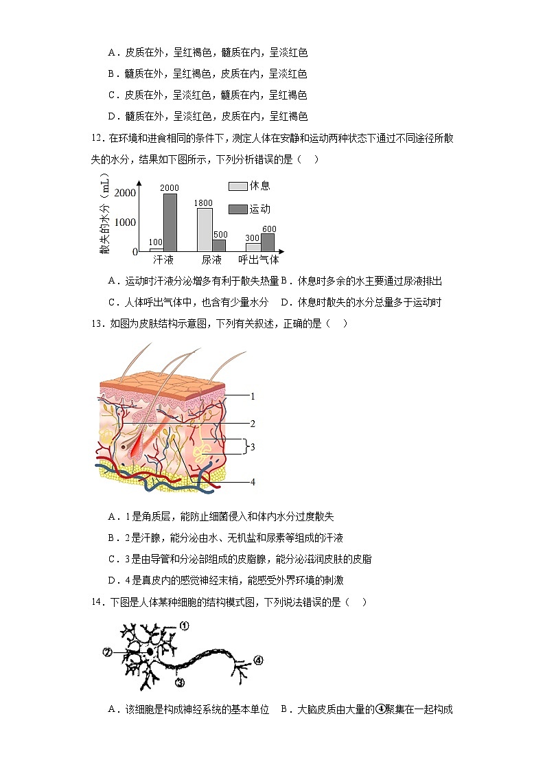山东省济宁市泗水县2022-2023学年七年级下学期期末生物试题（含答案）03