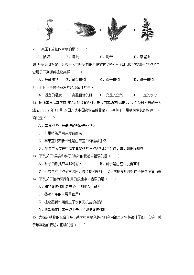 云南省昭通市2022-2023学年七年级下学期期末生物试题（含答案）第2页