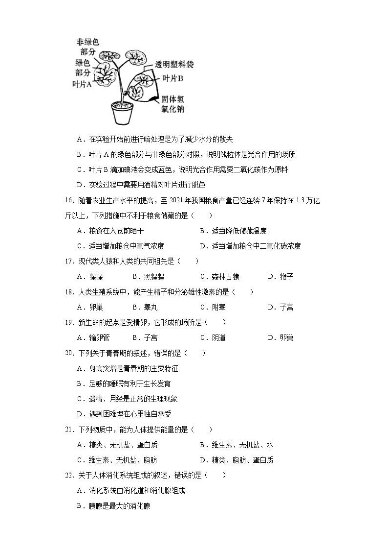 云南省昭通市2022-2023学年七年级下学期期末生物试题（含答案）第3页