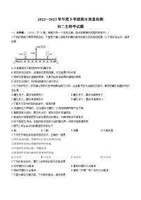 山东省淄博市临淄区2022-2023学年七年级下学期期末生物试题（含答案）