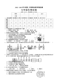 广东省湛江市麻章区2022-2023学年七年级下学期期末考试生物试题（含答案）