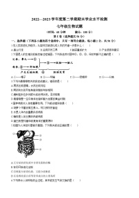 山东省聊城市莘县2022-2023学年七年级下学期期末生物试题（含答案）