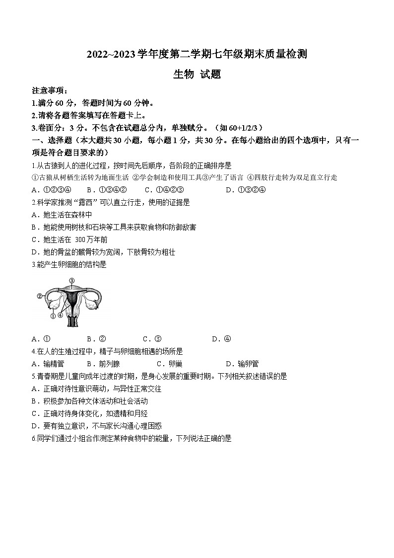 河北省保定市易县2022-2023学年七年级下学期期末生物试题（含答案）01