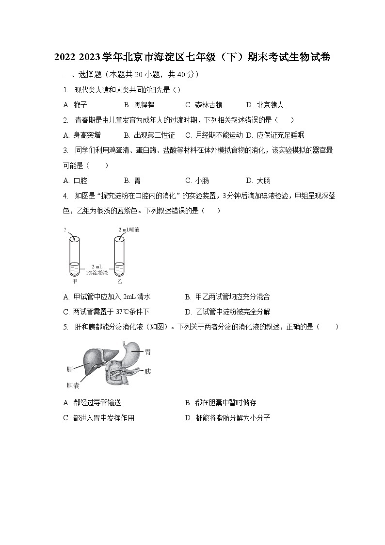2022-2023学年北京市海淀区七年级（下）期末考试生物试卷（含解析）第1页