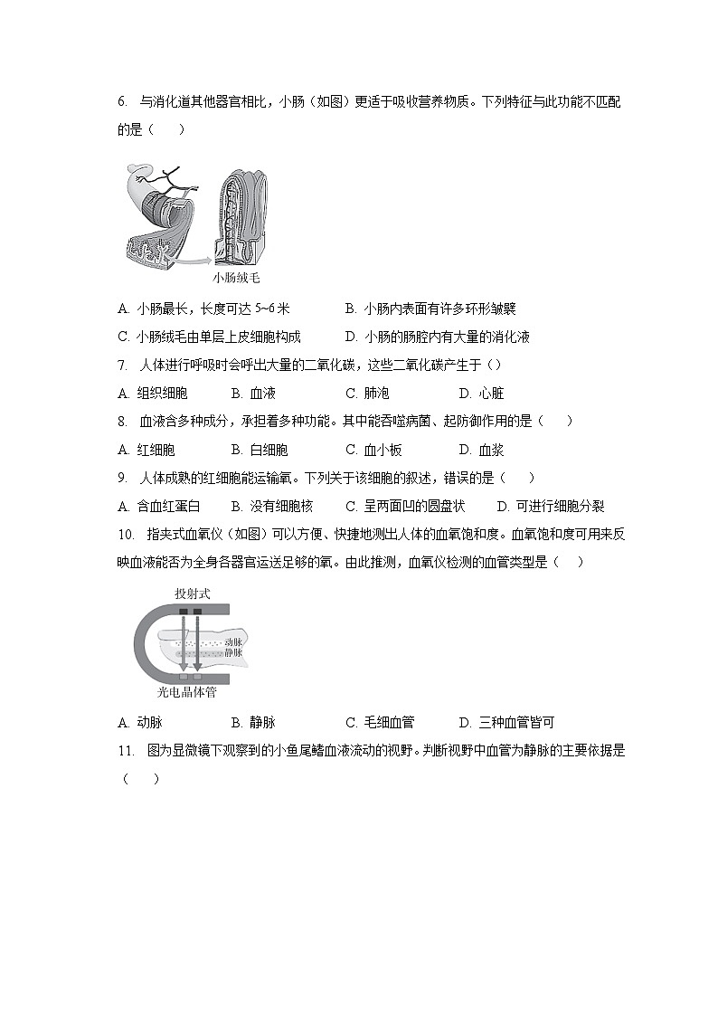 2022-2023学年北京市海淀区七年级（下）期末考试生物试卷（含解析）第2页