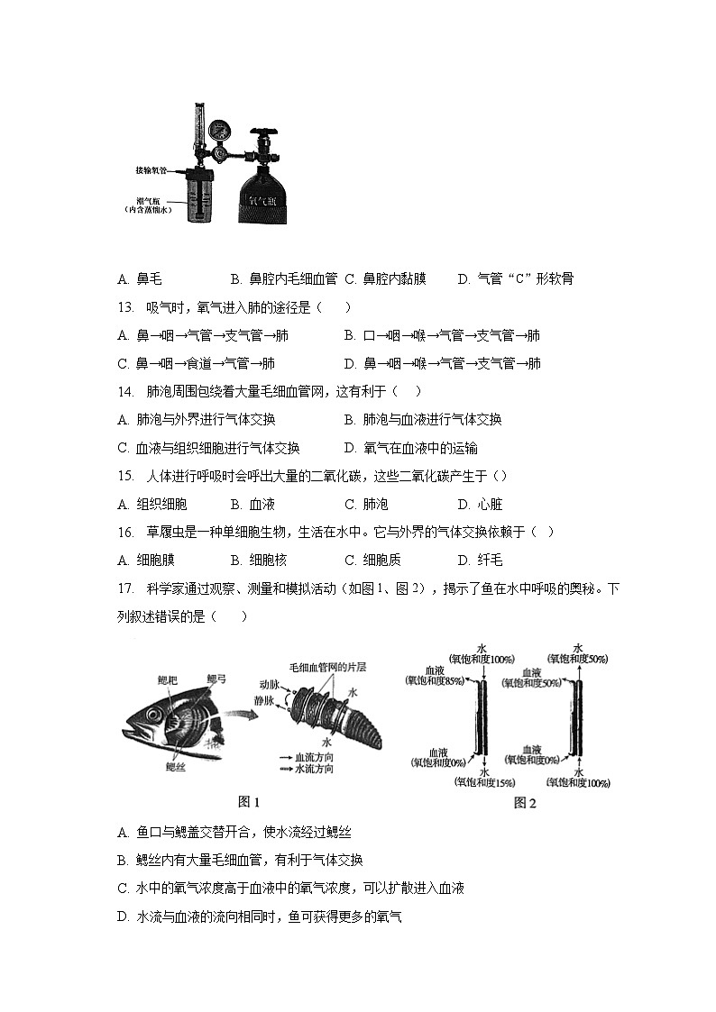 2022-2023学年北京市朝阳区七年级（下）期末考试生物试卷（含解析）03