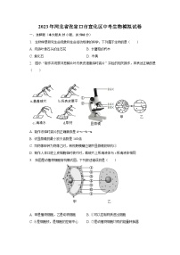 2023年河北省张家口市宣化区中考生物模拟试卷（含解析）