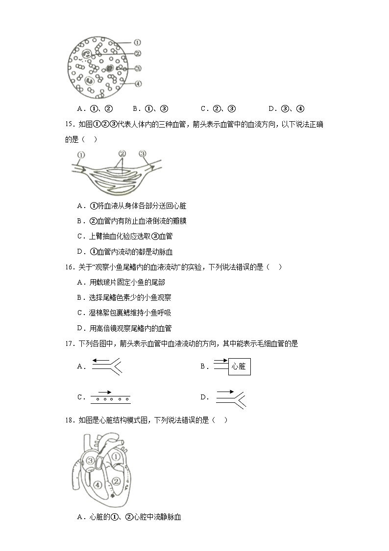 广东省东莞市常平镇2022-2023学年七年级下学期期末生物试题（含答案）第3页