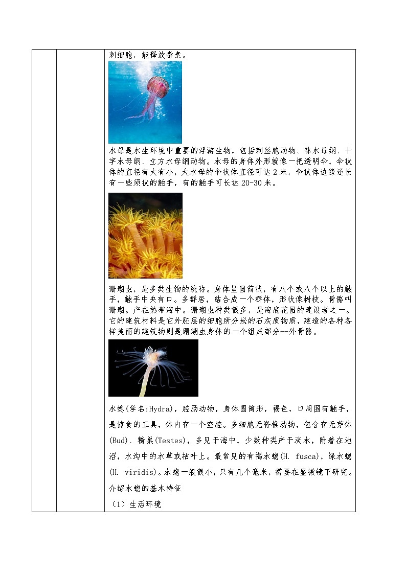 人教版八年级上册5.1.1《腔肠动物和扁形动物》课件+教案+导学案+分层作业02