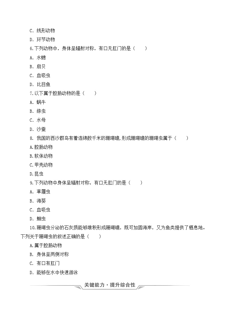 人教版八年级上册5.1.1《腔肠动物和扁形动物》课件+教案+导学案+分层作业02