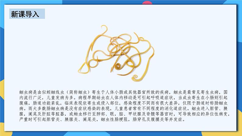 人教版八年级上册5.1.2《线形动物和环节动物》课件+教案+导学案+分层作业04