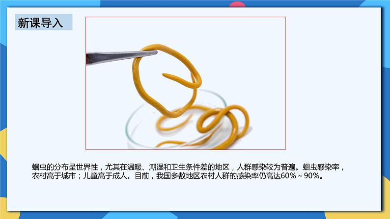 人教版八年级上册5.1.2《线形动物和环节动物》课件+教案+导学案+分层作业05