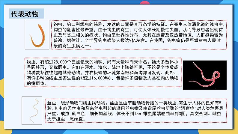 人教版八年级上册5.1.2《线形动物和环节动物》课件+教案+导学案+分层作业07