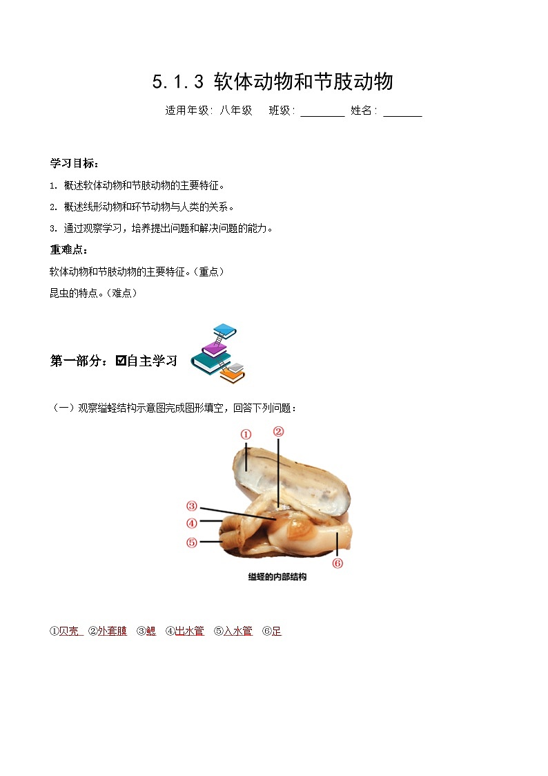 人教版八年级上册5.1.3《软体动物和节肢动物》课件+教案+导学案+分层作业01