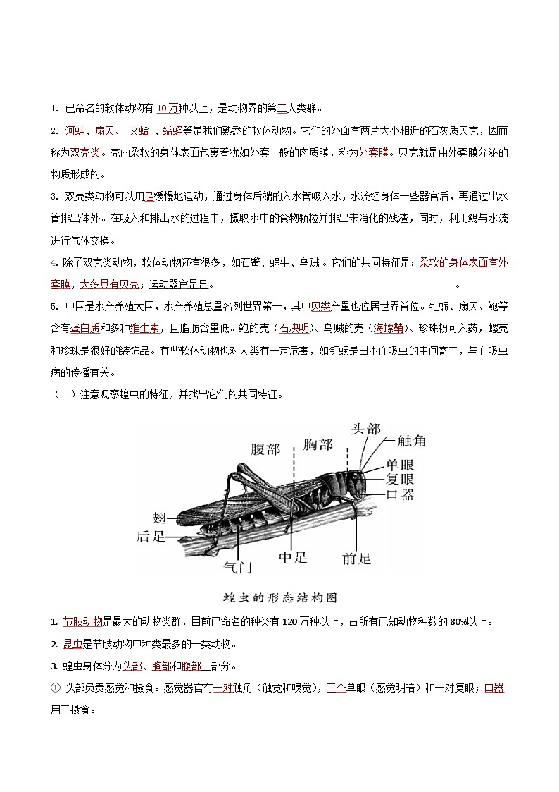 人教版八年级上册5.1.3《软体动物和节肢动物》课件+教案+导学案+分层作业02