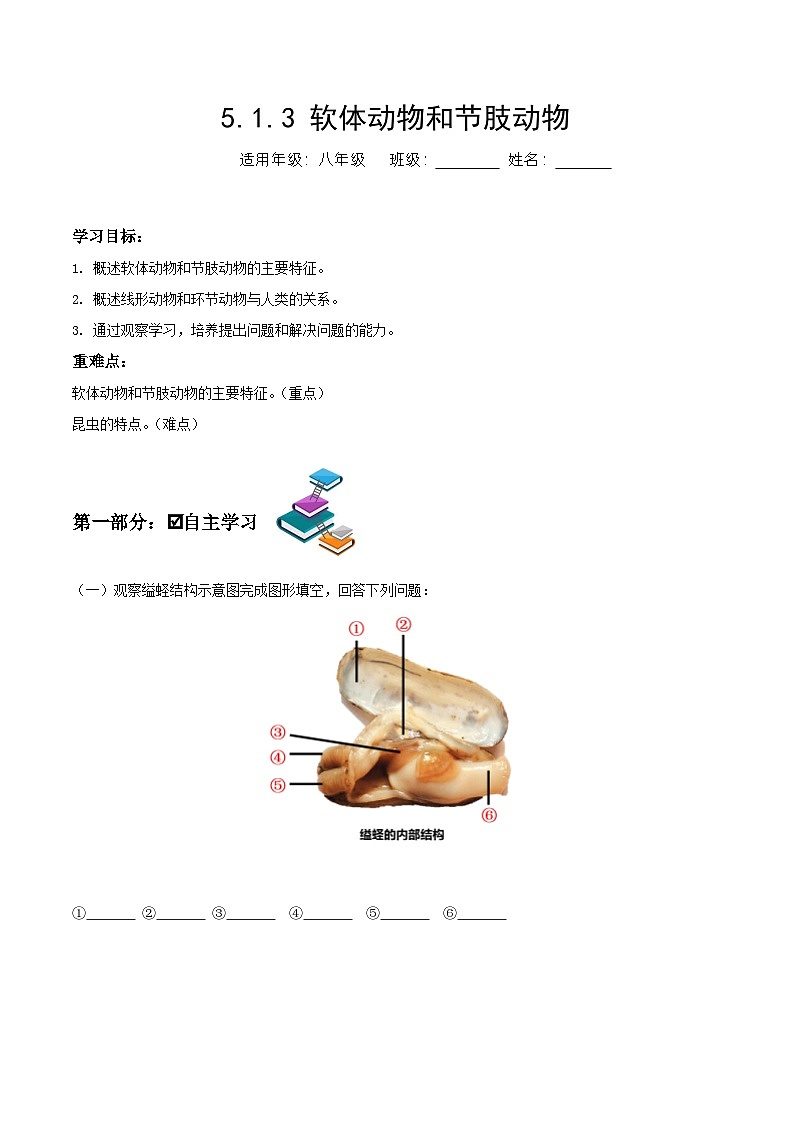 人教版八年级上册5.1.3《软体动物和节肢动物》课件+教案+导学案+分层作业01