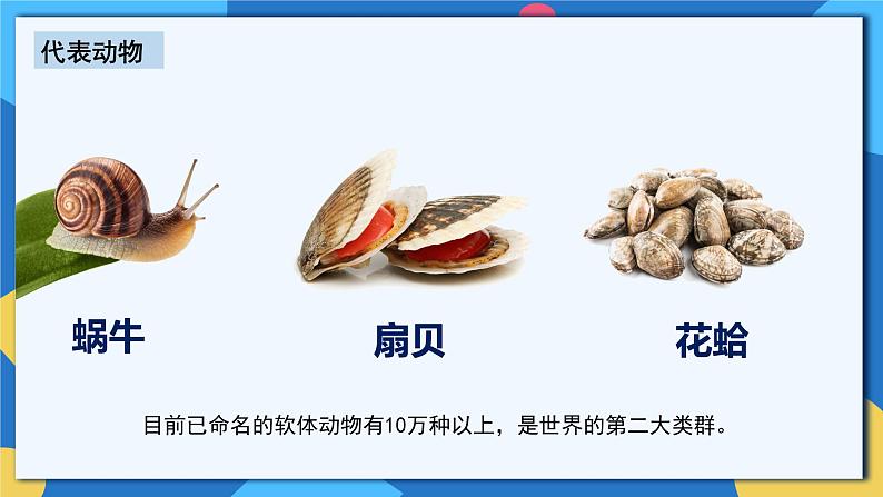 人教版八年级上册5.1.3《软体动物和节肢动物》课件+教案+导学案+分层作业06