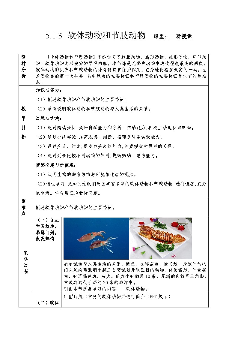 人教版八年级上册5.1.3《软体动物和节肢动物》课件+教案+导学案+分层作业01