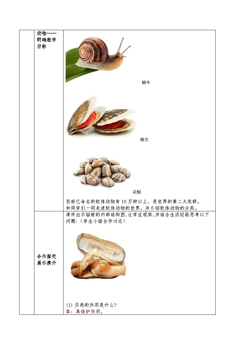 人教版八年级上册5.1.3《软体动物和节肢动物》课件+教案+导学案+分层作业02