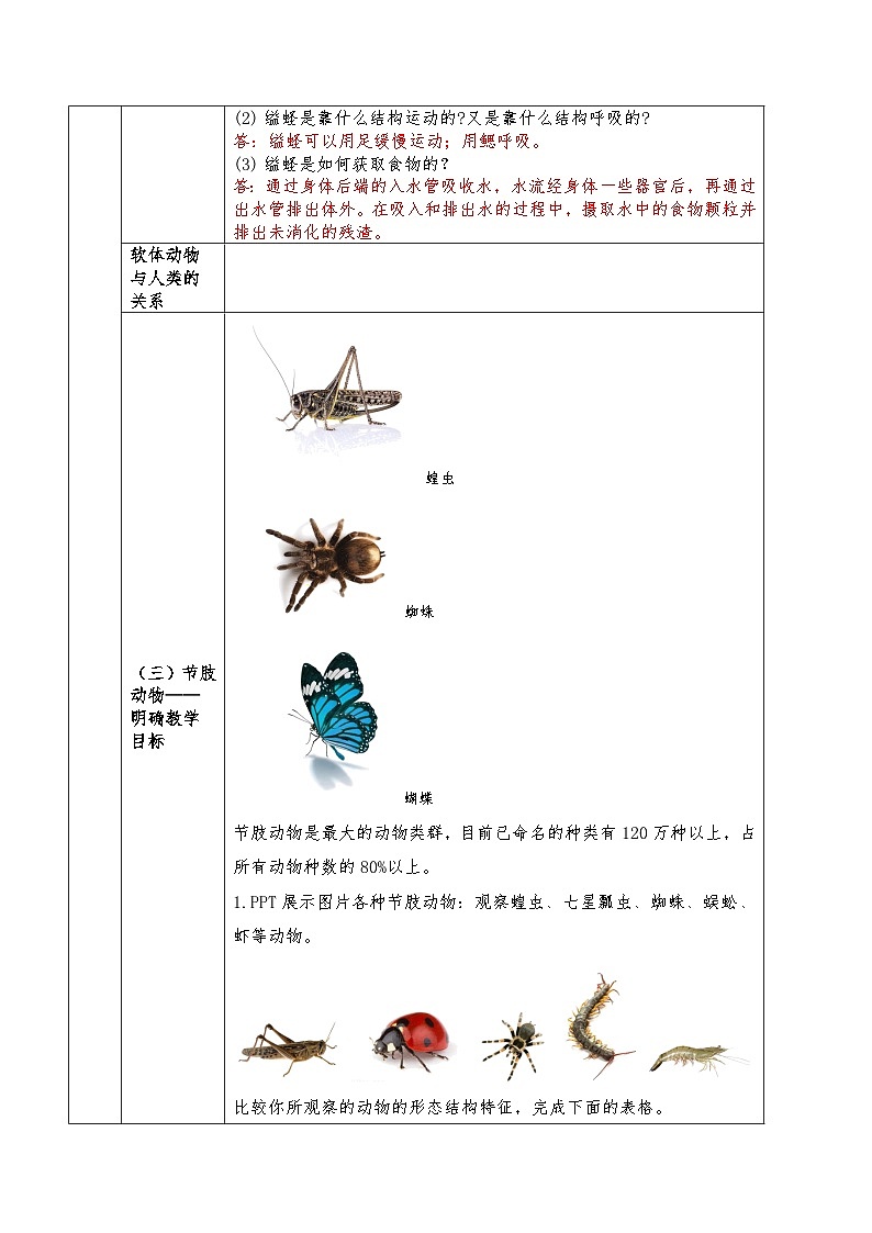 人教版八年级上册5.1.3《软体动物和节肢动物》课件+教案+导学案+分层作业03