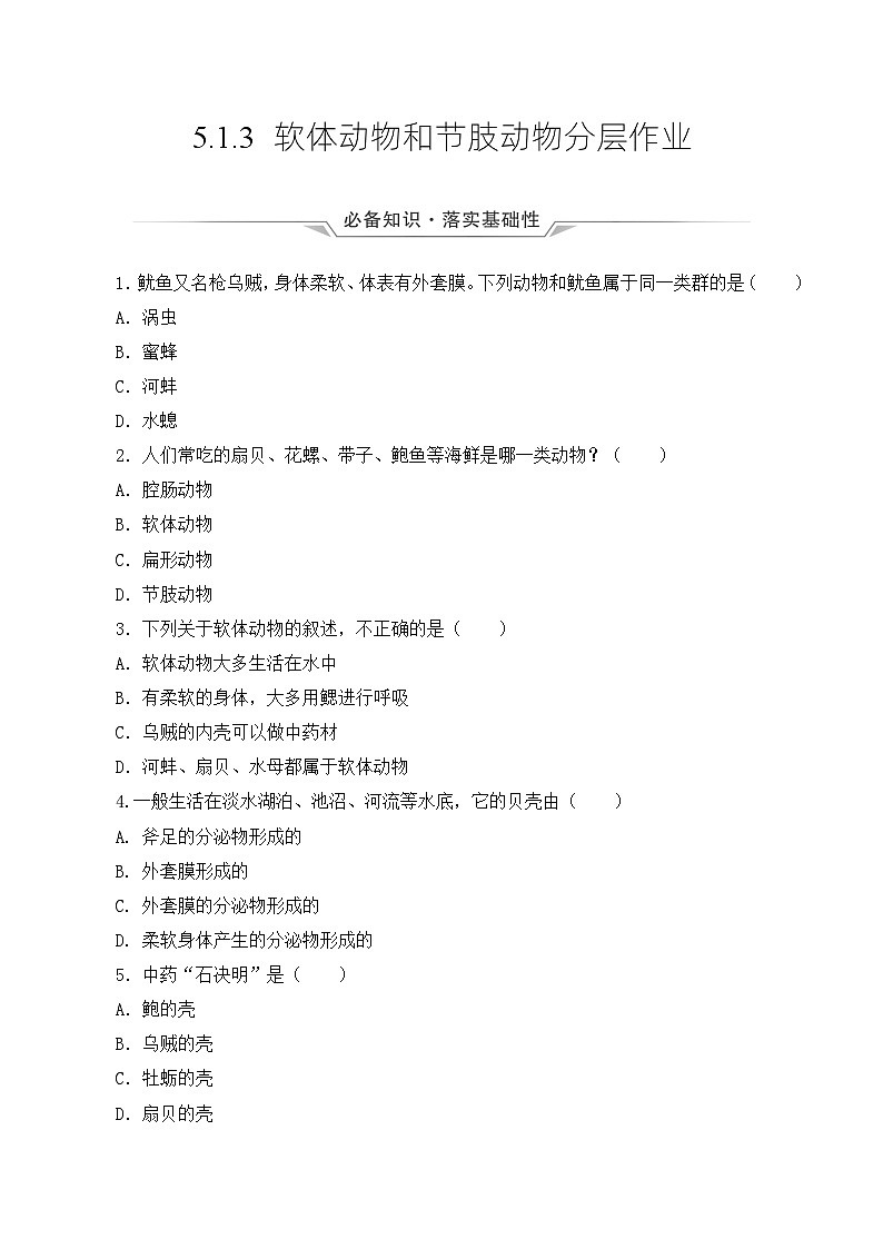人教版八年级上册5.1.3《软体动物和节肢动物》课件+教案+导学案+分层作业01
