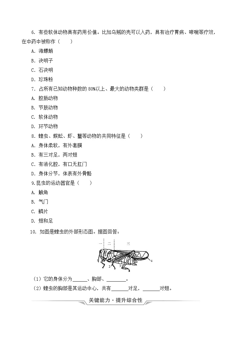 人教版八年级上册5.1.3《软体动物和节肢动物》课件+教案+导学案+分层作业02