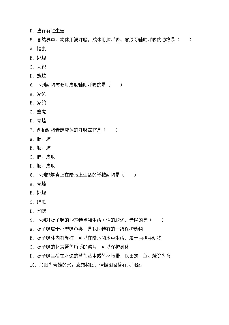 人教版八年级上册5.1.5《两栖动物和爬行动物》课件+教案+导学案+分层作业02